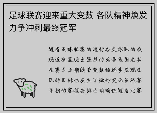 足球联赛迎来重大变数 各队精神焕发力争冲刺最终冠军
